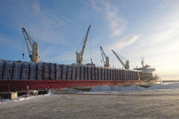 Schnittholzumschlag im Hafen Orskär